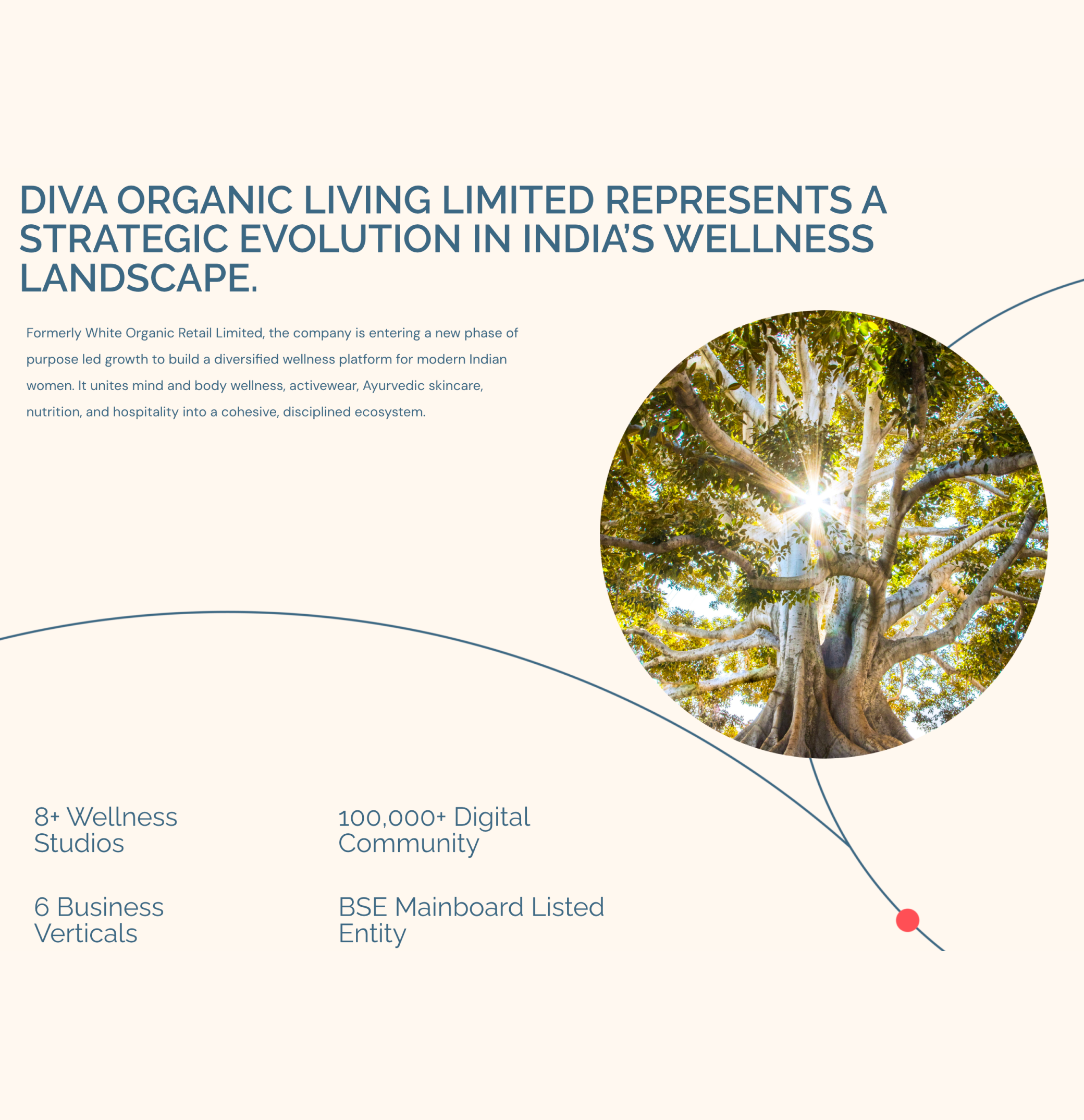 Tasya_Designs_Diva_Organic_Living_Limited_Portfolio